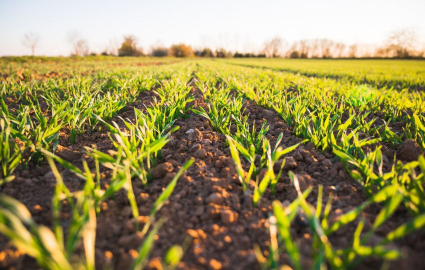 agriculture-funding-opportunities