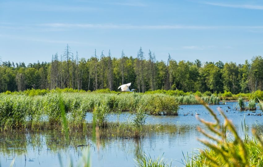 life-program-green-grants