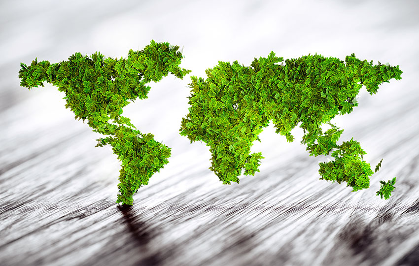 Sustainable Development